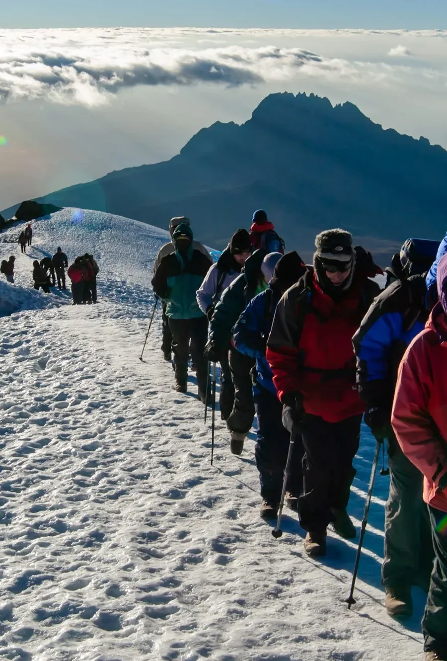 A line of climbers on Kilimanjaro's snowy summit ridge above the clouds