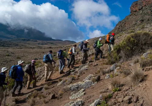Kilimanjaro