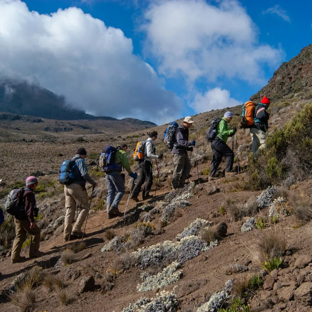Kilimanjaro