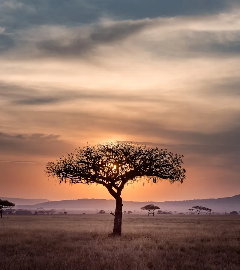 4-Day Ultimate Private Camping Experience in Serengeti & Ngorongoro