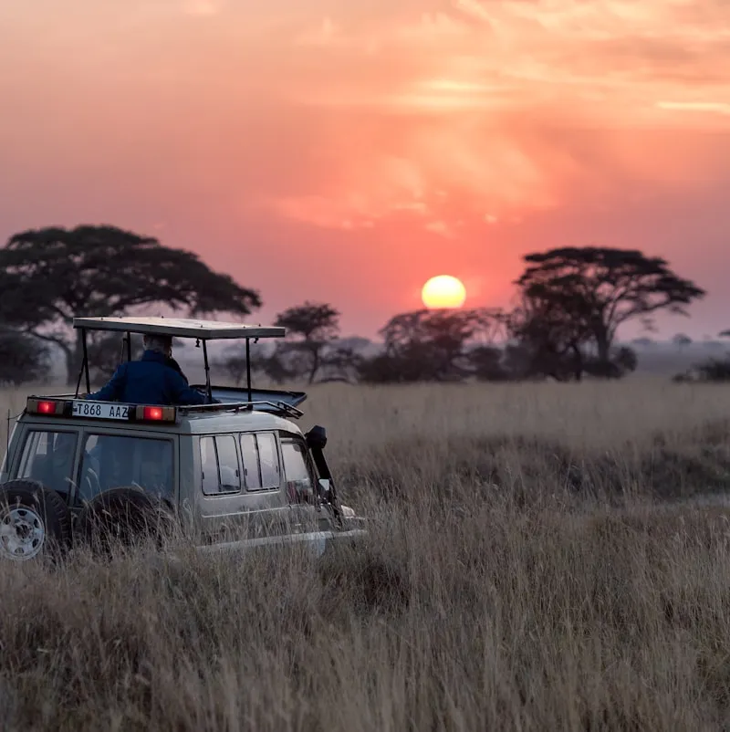 Witness the Wild in Comfort – 3-Day Private Midrange Safari Adventure