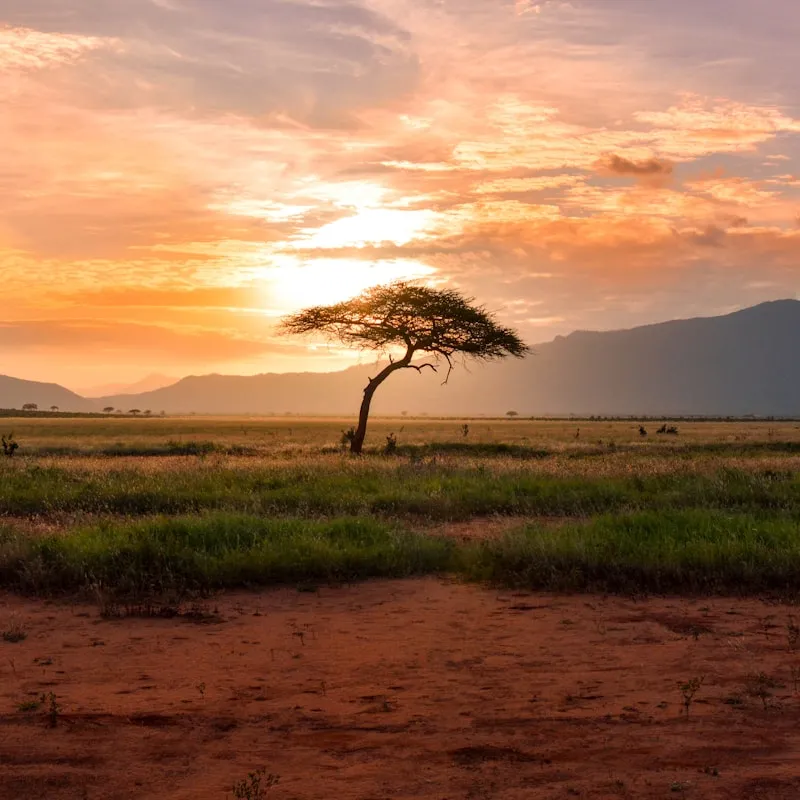 3-Day Private Camping Safari – Tarangire & Ngorongoro Crater